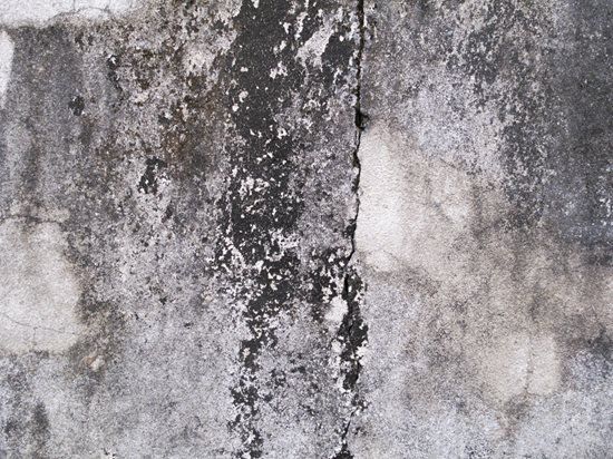 Hvordan fjerne mugg fra betong