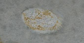 Naprawianie plam na blatach betonowych spowodowanych trawieniem kwasem
