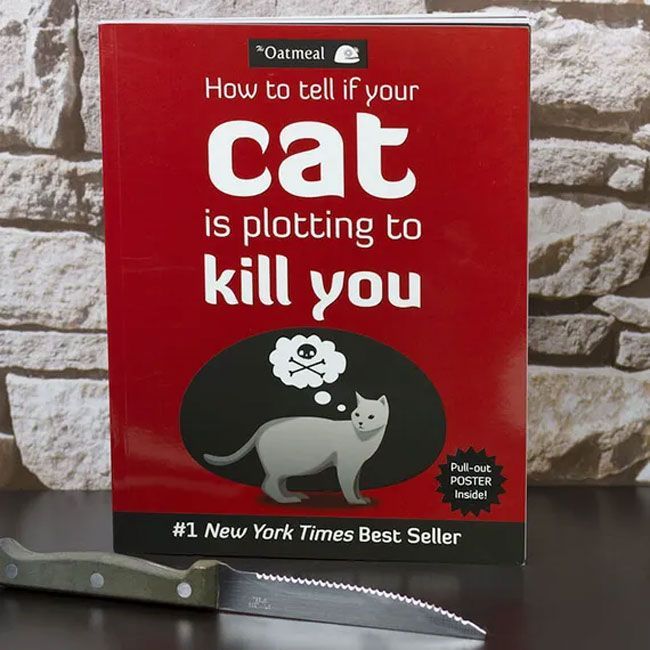 mačka te ubije