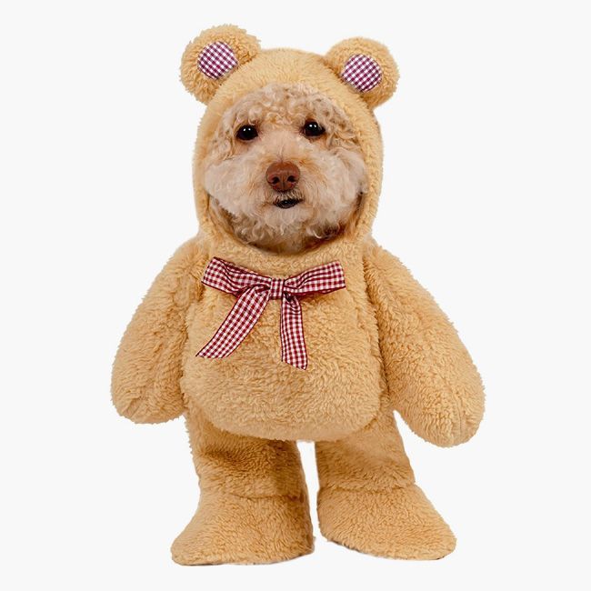 Teddy-Hunde-Kostüm