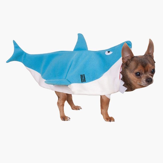 Hai-Hund-Kostüm