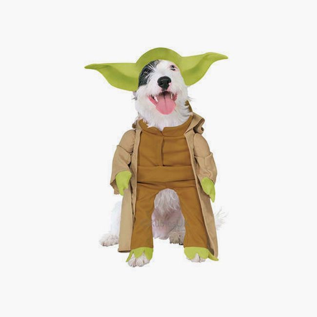 Yoda-Hund-Kostüm