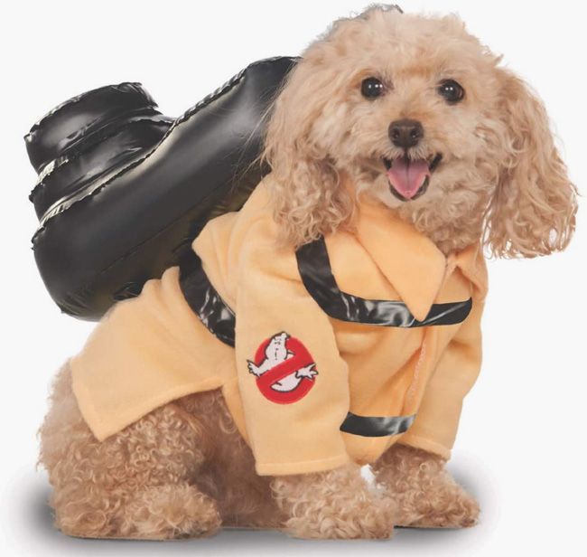 Ghostbusters-Hundekostüm