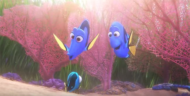 Finding-dory1