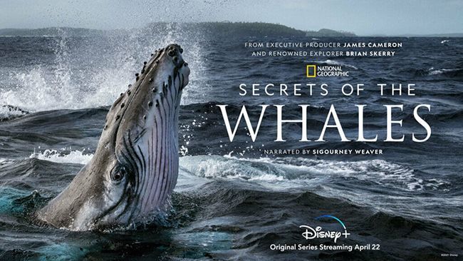 valaiden salaisuudet