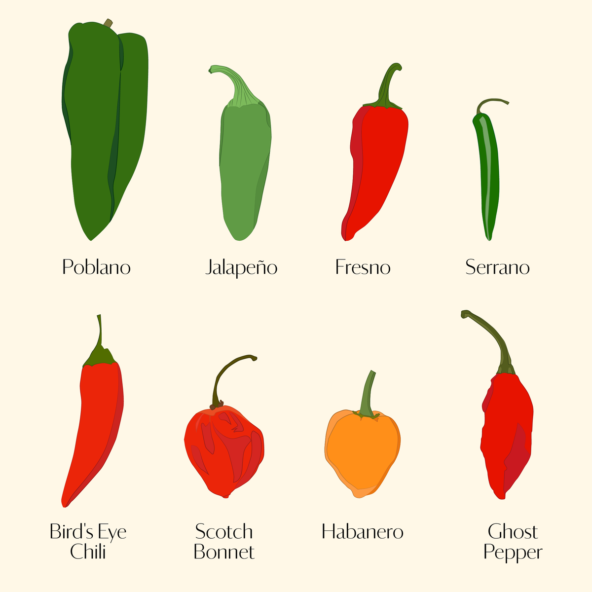 Osem sort čilske paprike