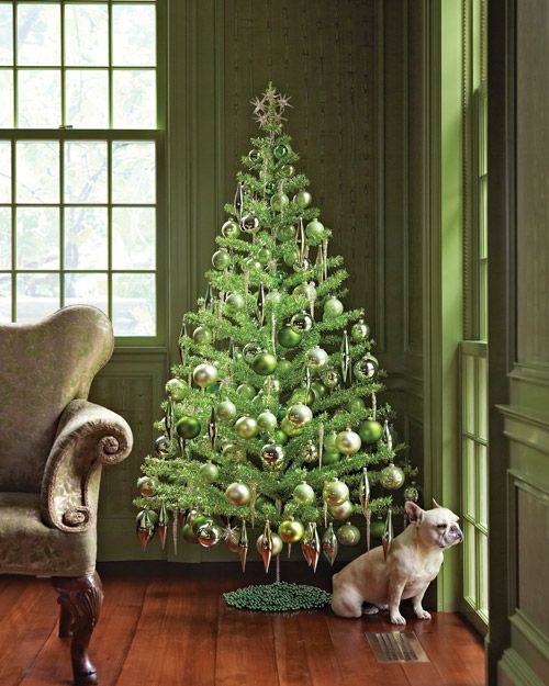 zeleno božično drevo z buldogom ob oknu