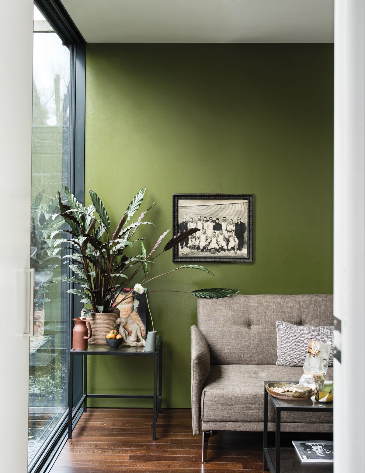 grün gestrichenes wohnzimmer mit pflanze am fenster