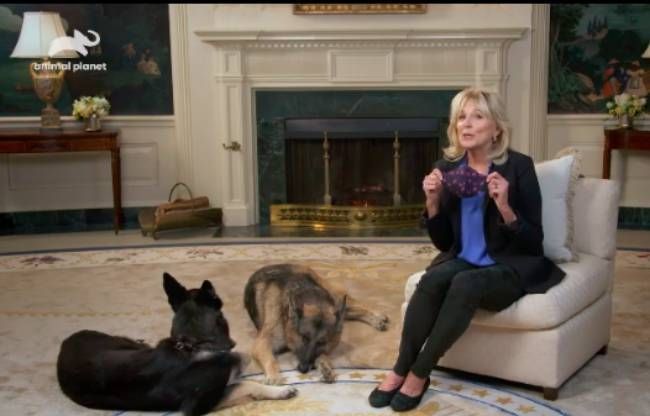 Jill-Biden-family-living-room-white-house