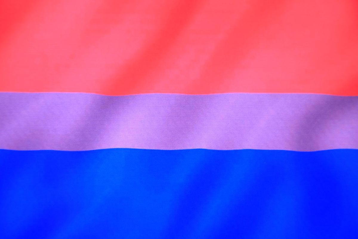 Biseksualna zastava ponosa