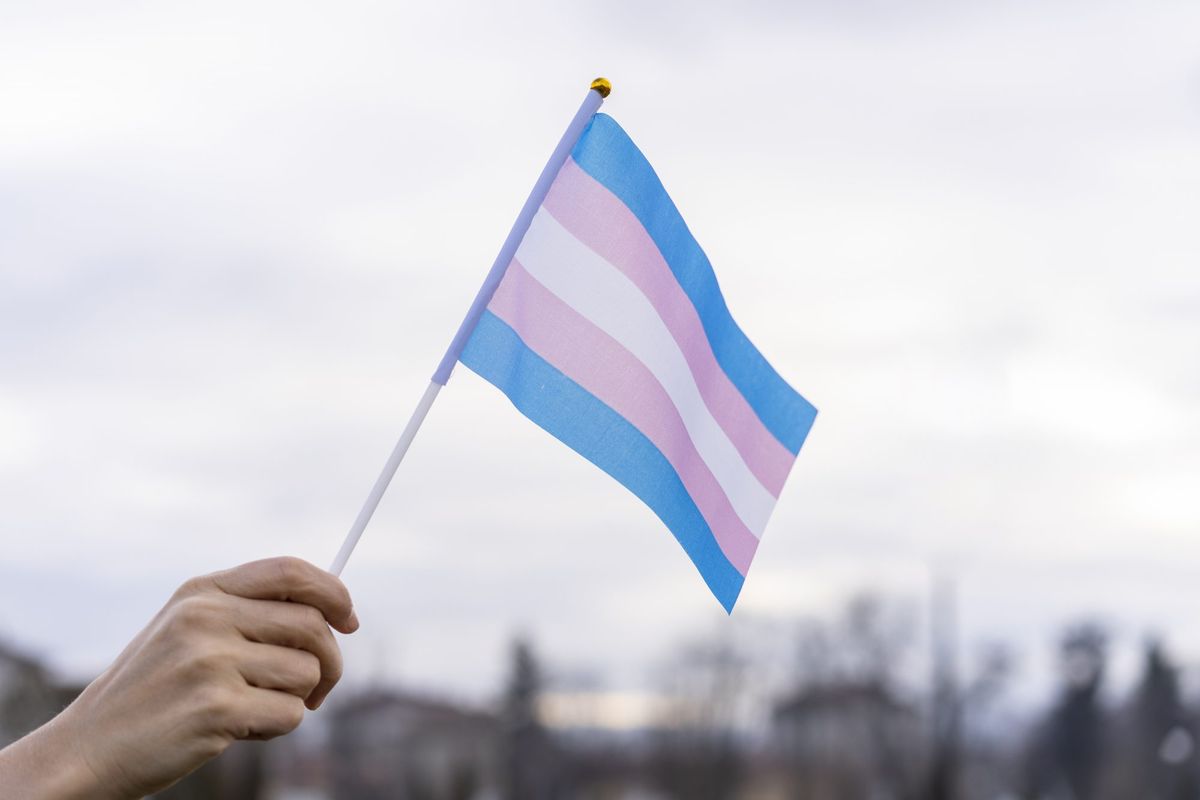 transsoolise uhkuse lipp
