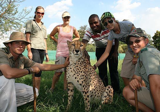 Vor Ort im atemberaubenden Südafrika mit dem 'Wild at Heart' Team