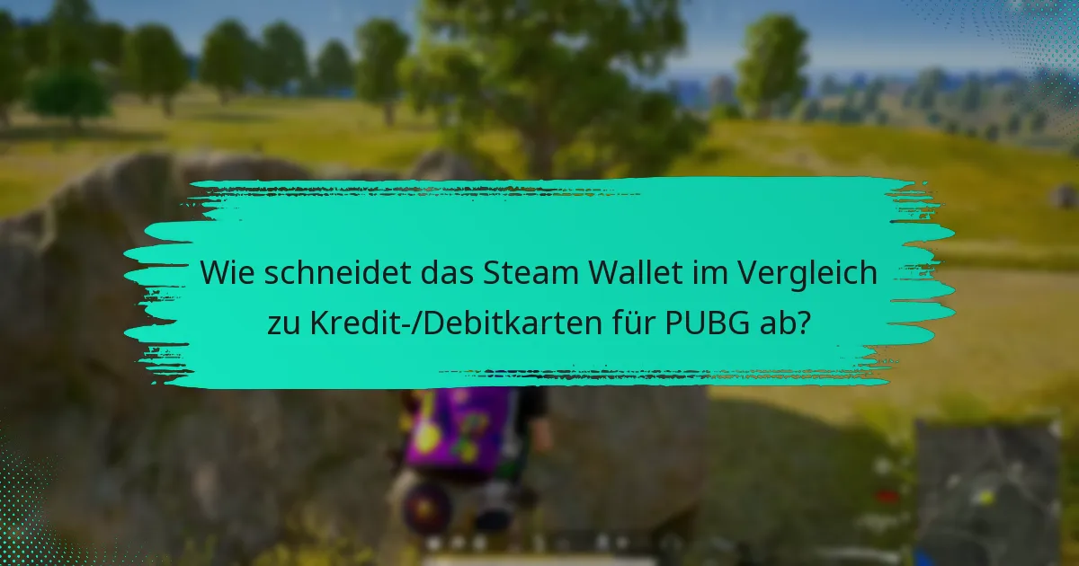 Was sind die Nachteile der Verwendung des Steam Wallet für PUBG?