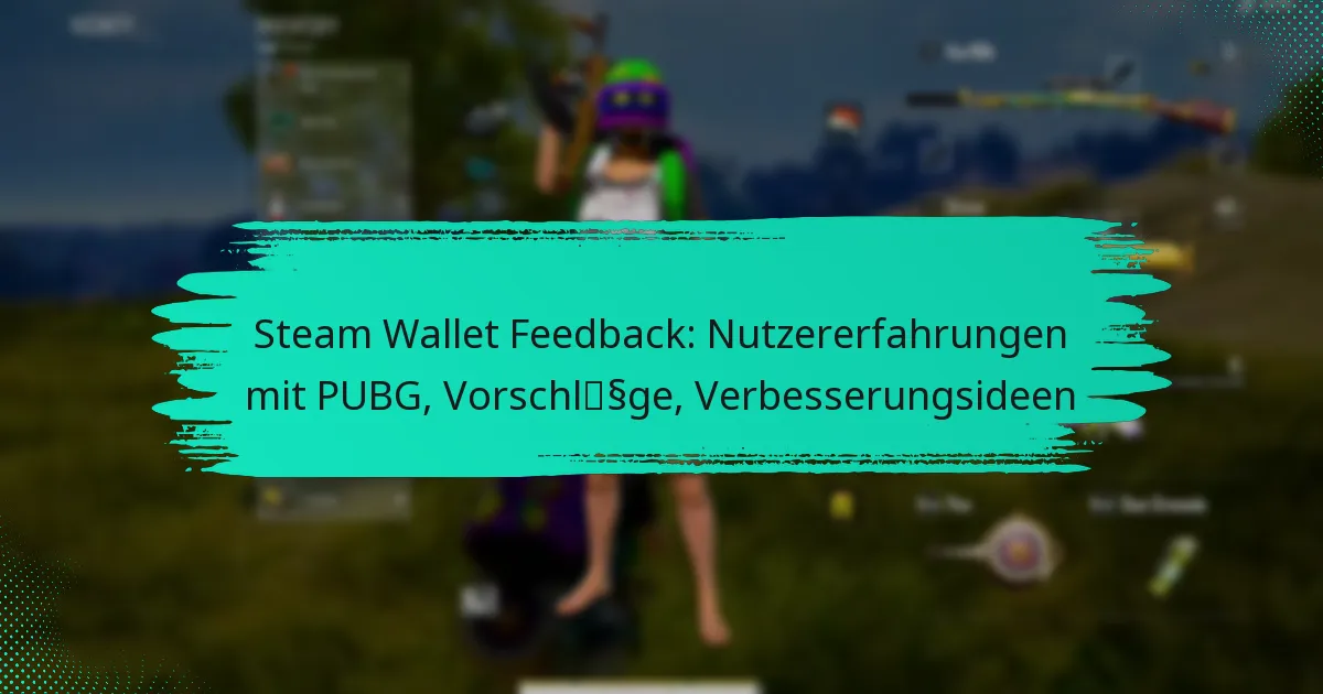 Steam Wallet Feedback: Nutzererfahrungen mit PUBG, Vorschläge, Verbesserungsideen
