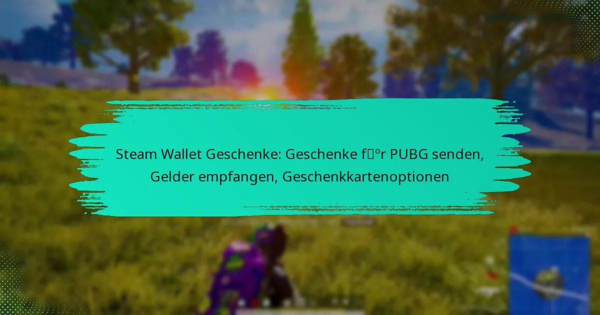 Steam Wallet Geschenke: Geschenke für PUBG senden, Gelder empfangen, Geschenkkartenoptionen