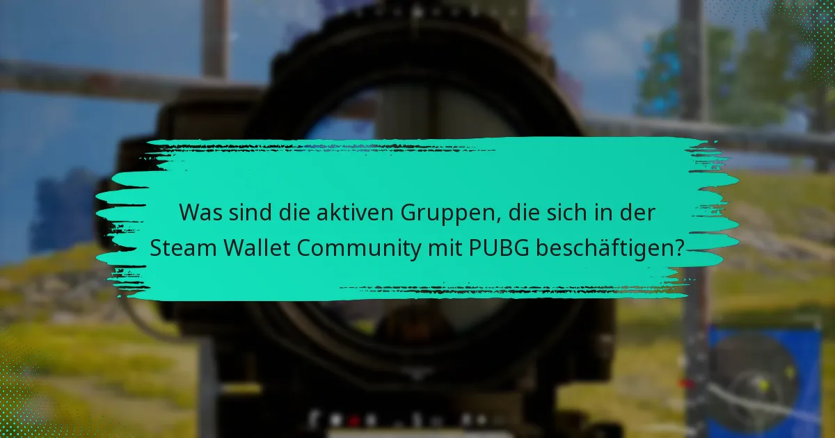 Was sind die aktiven Gruppen, die sich in der Steam Wallet Community mit PUBG beschäftigen?
