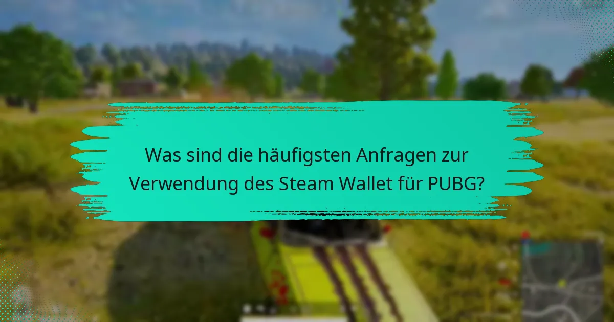 Wie behebt man Probleme mit dem Steam Wallet in PUBG?