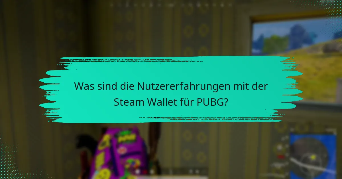 Welche Vorschläge haben die Nutzer zur Verbesserung der Steam Wallet?