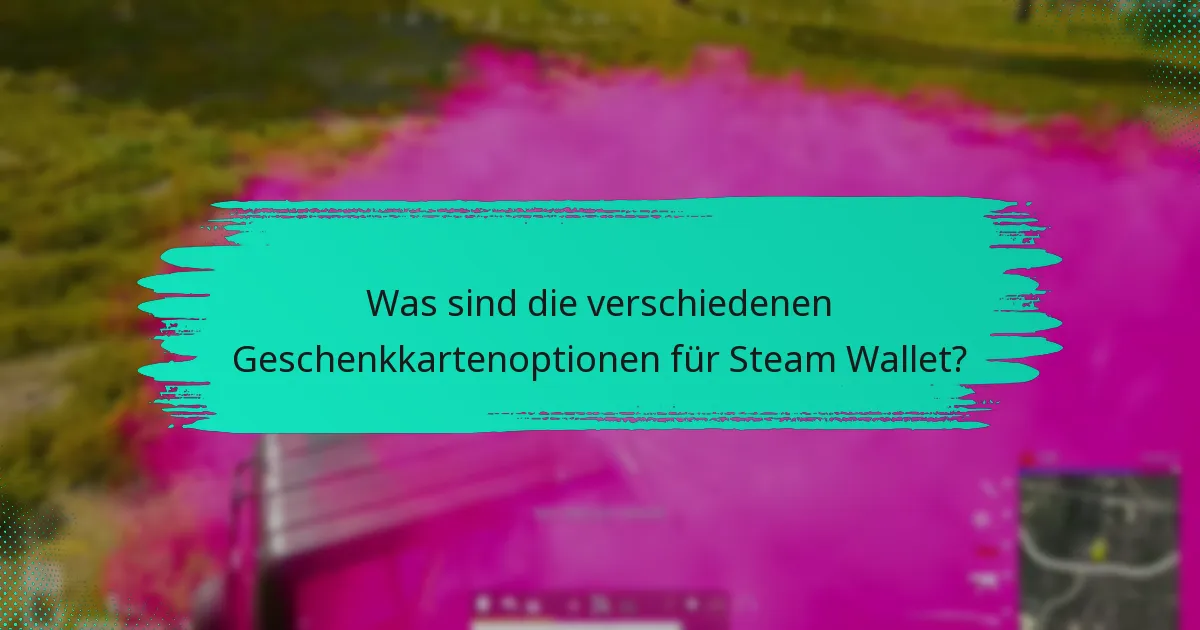 Wie sende ich ein Steam Wallet Geschenk für PUBG?