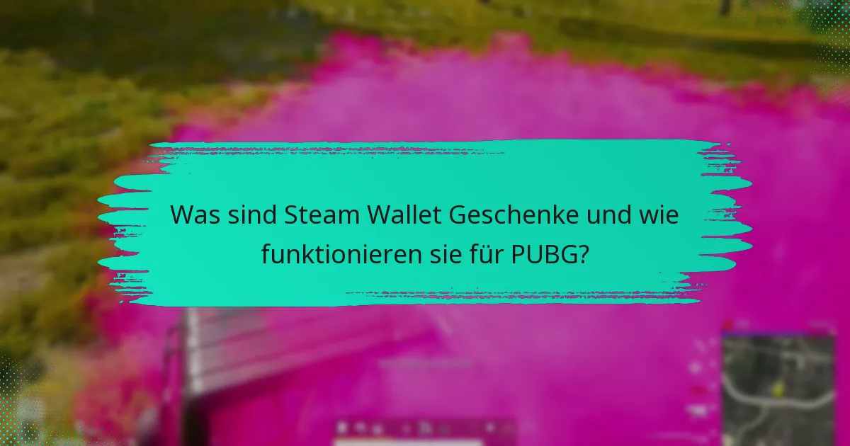 Wie empfange ich Steam Wallet Geschenke für PUBG?