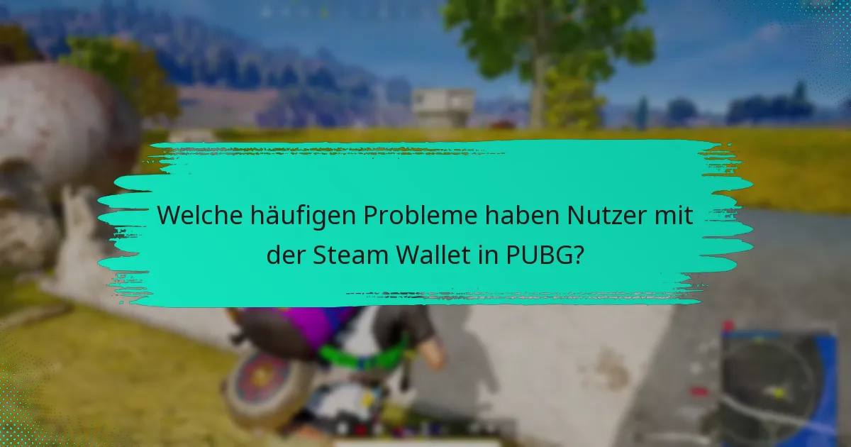 Wie schneidet die Steam Wallet im Vergleich zu anderen Zahlungsmethoden für PUBG ab?