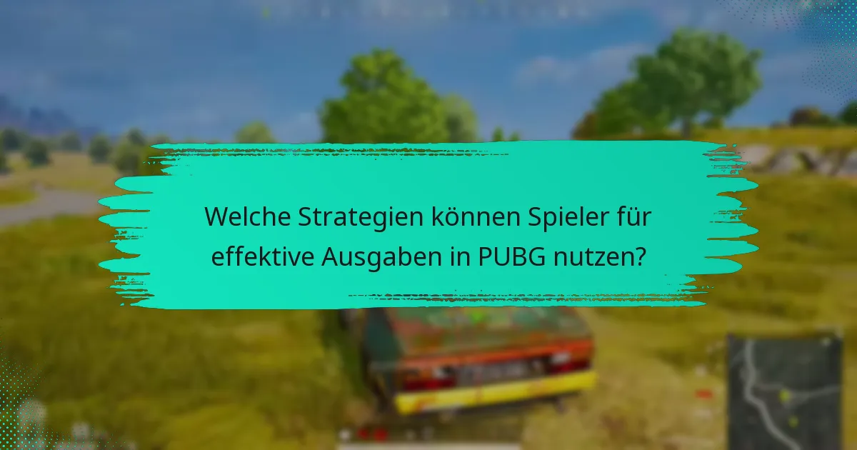 Welche wirtschaftlichen Faktoren beeinflussen die Ausgaben in PUBG?