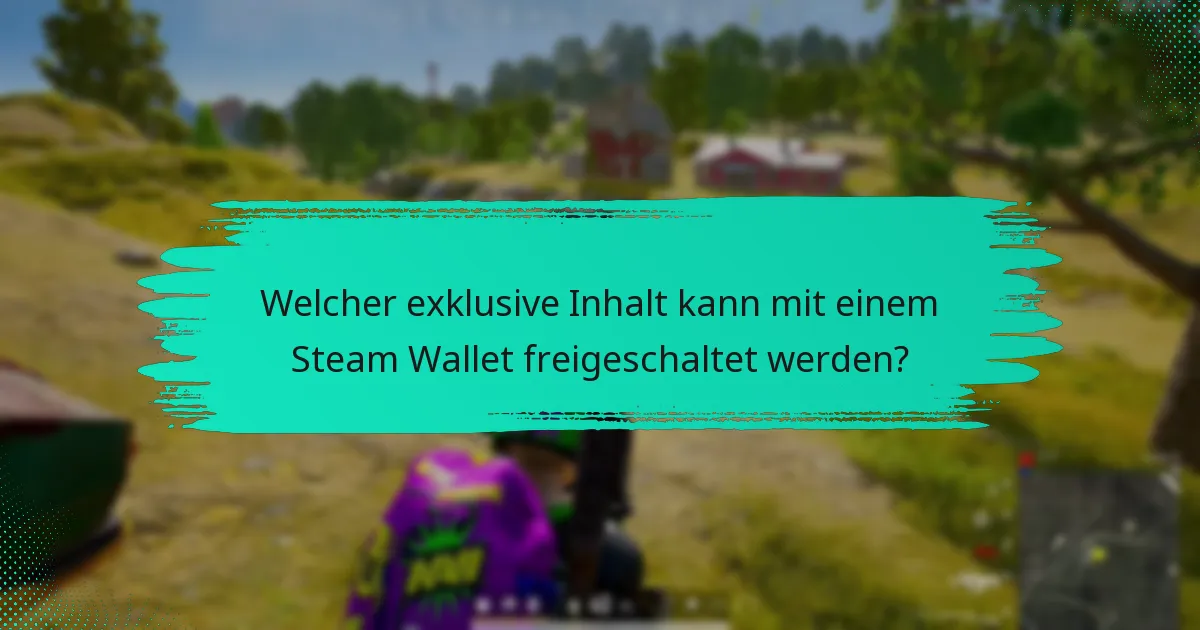 Wie funktioniert der frühzeitige Zugang mit dem Steam Wallet für PUBG?