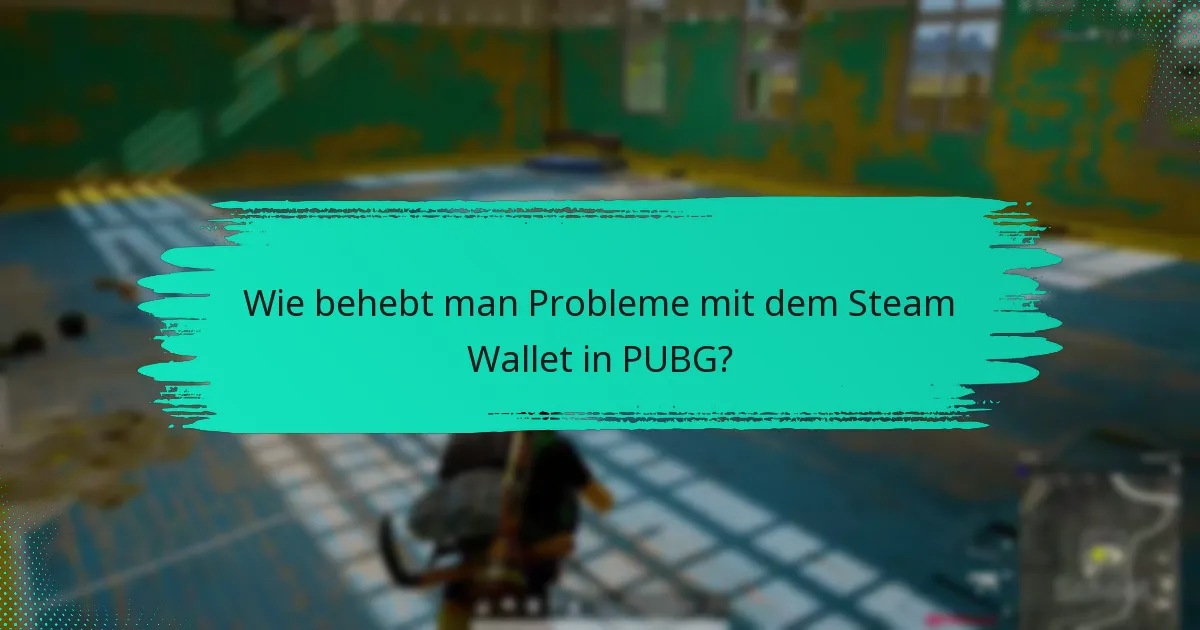 Was sind die Richtlinien zur Verwendung des Steam Wallet für PUBG?