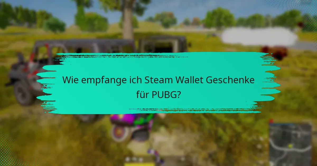 Was sind die verschiedenen Geschenkkartenoptionen für Steam Wallet?