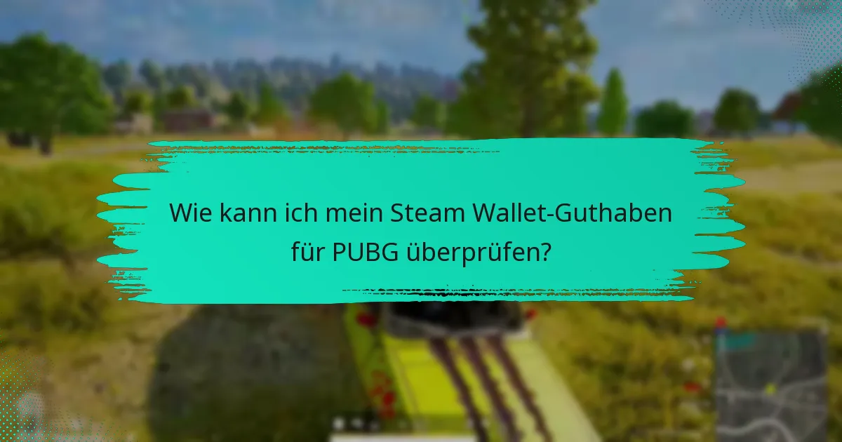 Wie schneidet das Steam Wallet im Vergleich zu anderen Zahlungsmethoden für PUBG ab?